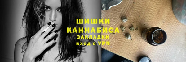 стафф Заводоуковск