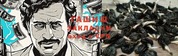 стафф Заводоуковск
