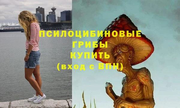 синтетический гашиш Заволжск