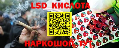 соль ск Заводоуковск