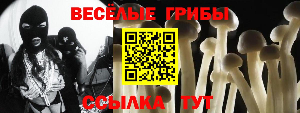 Зерноград  Псилоцибиновые грибы Psilocybe  Вход с VPN 